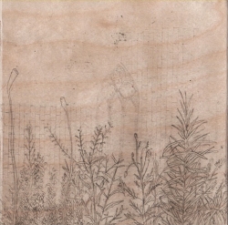 https://www.williamlindley.co.uk/files/gimgs/th-23_Untitled-3 2.jpg